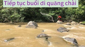 Vào suối rừng quăng chài bắt cá suối 