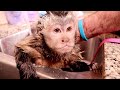 3 Monkeys 3 Baths!
