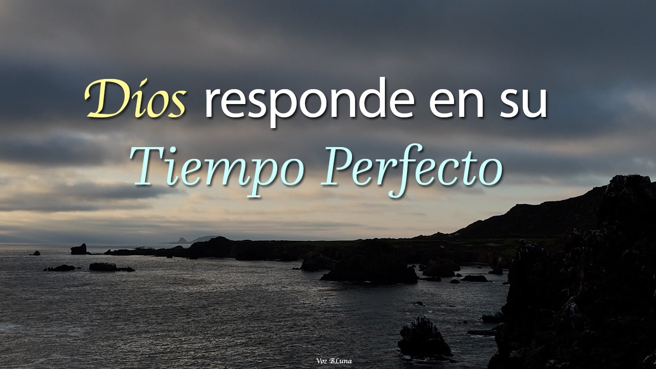 Dios te habla de muchas maneras - Reflexión