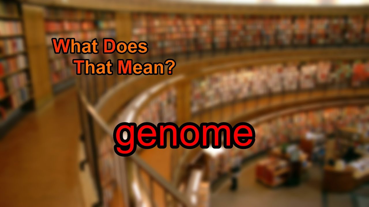 What does genome mean? YouTube