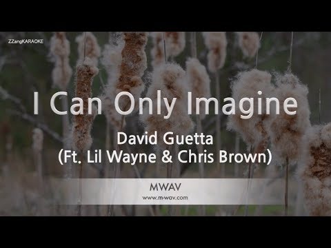 <strong>David</strong> Guetta-I Can Only Imagine(Ft.Lil Wayne&amp;amp;Chris <strong>Brown</strong>)(Melody)(Karaoke Version)[ZZang KARAOKE]
