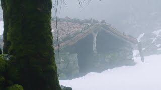 Pello Ramirez Neguaren Loa. Irudiak Iban Toledo.aralar, Mundua Leku Den Lurra