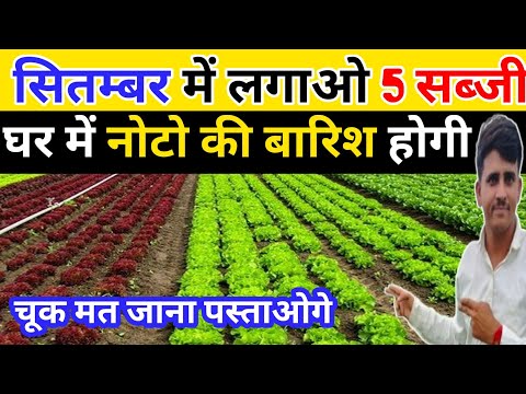 सितम्बर मे लगाओ ये 5 सब्जी । घर में नोटो की बारिश होगी। सितंबर में लगाई में जाने वाली सब्जियां