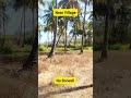 🔴SOLD🔴14 Gunta Small Farm Land Sale, 48 km from Kengeri,1 Hour From Bengaluru,ಚಿಕ್ಕದಾದ ತೆಂಗಿನ ತೋಟ