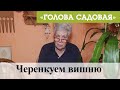 Голова садовая - Черенкуем вишню