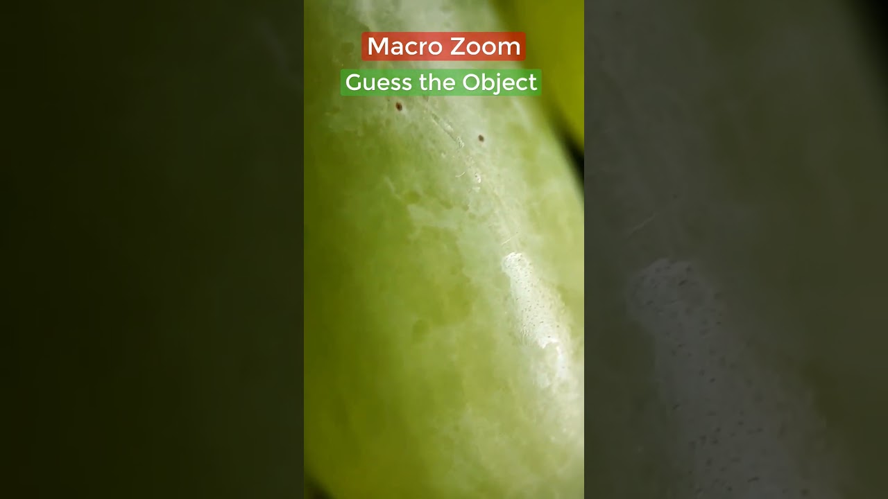 Super Macro Zoom Closeup Ep4 