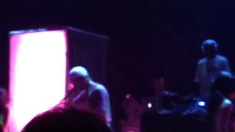 Riff Raff- Versace Python