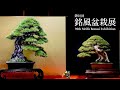 [4K ロング版] 第92回 銘風盆栽展