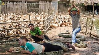72 Hours TRAPPED 😱 Giant Python Attacks Woman on Duck Farm – Desperate Rescue in Rural Vietnam! 🐍🔥