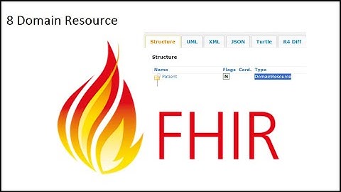 8 FHIR Domain Resource