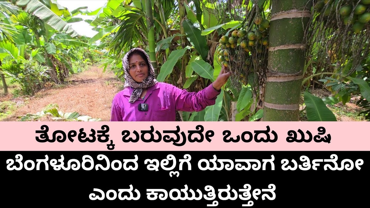 ನನಗೆ ತೋಟದಲ್ಲಿ ಕೆಲಸ ಮಾಡುವುದಕ್ಕೆ ತುಂಬಾ ಖುಷಿಯಾಗುತ್ತದೆ ಹಾಗೂ ವಾರಪೂರ್ತಿ ನಾನು ಇಲ್ಲಿಗೆ ಬರುವುದನ್ನೇ...