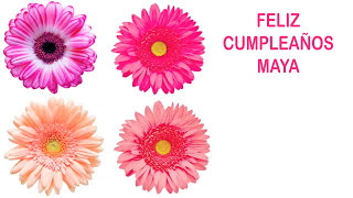Maya   Flowers & Flores - Happy Birthday