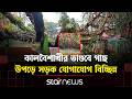 ভোলায় কালবৈশাখীর তাণ্ডবে গাছ উপড়ে সড়ক যোগাযোগ বিচ্ছিন্ন | Bhola News Update | Star News