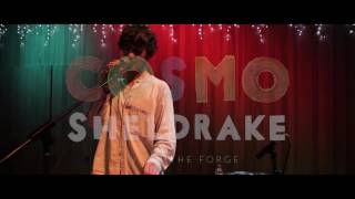 Cosmo Sheldrake - Live Improv in London - Track 7 (The Falcon cover)
