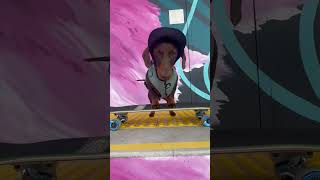 Skateboarder Doing Tricks at the Skate Park