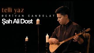 Şah Ali Dost Beri̇van Canbolat [Telli Yaz © 2026]