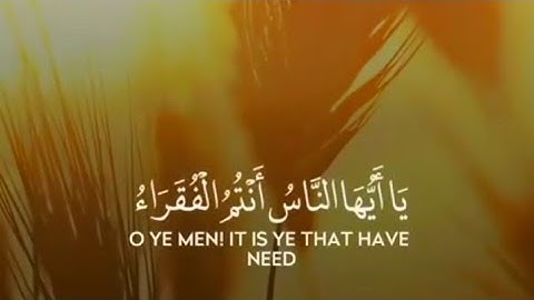 من "سورة فاطر" تلاوة خاشعة😌 | حالات واتس اب دينيه