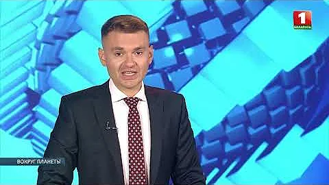 Как подружились морской котик и дайвер. Вокруг планеты