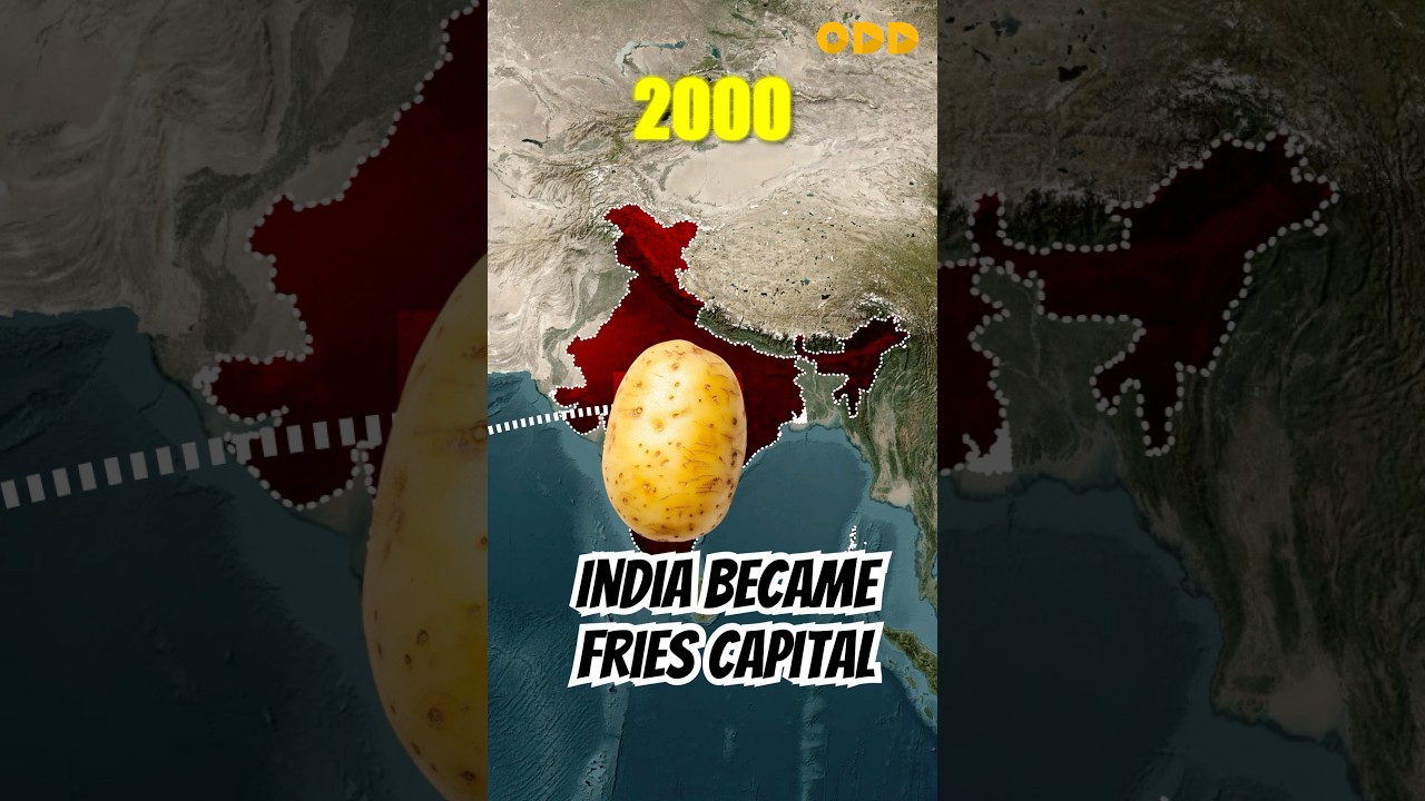 How India became fries capital of the world  