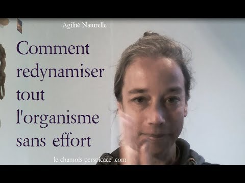 Vidéo: Comment Se Dynamiser