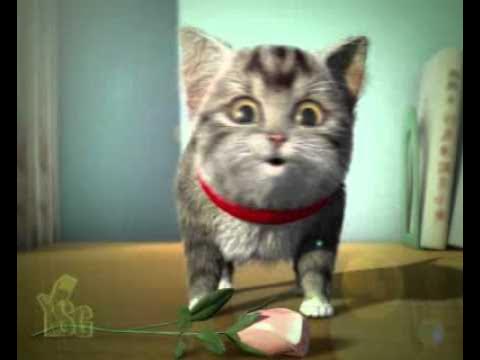 Valentine's Day cat boy sing love song to you
