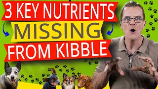 Top 3 Nutritional Deficiencies Of Kibbles (And How To Fix Them)