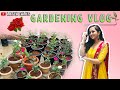 Lasya Talks || Gardening Vlog || Planting ||