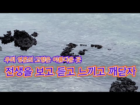 &amp;#39;전생과 현생 사이&amp;#39; 무엇이 있을까?&amp;#39;