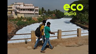 Eco India: How Bengaluru’s polluted lakes are affecting its food chain