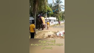 തൃശ്ശൂർ പള്ളി പെരുന്നാളിനിടേൽ ആന ഇടഞ്ഞു | Thrissur | Violent elephant