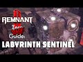 Labyrinth Sentinel Remnant 2 Zero Rage Boss Fight Guide