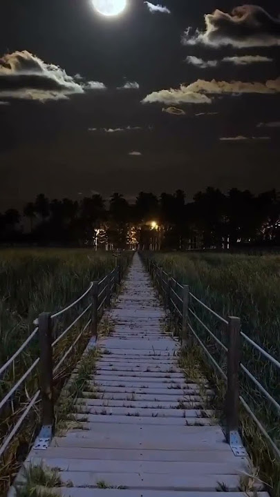 مقاطع فيديو بدون حقوق طبيعة خلابة