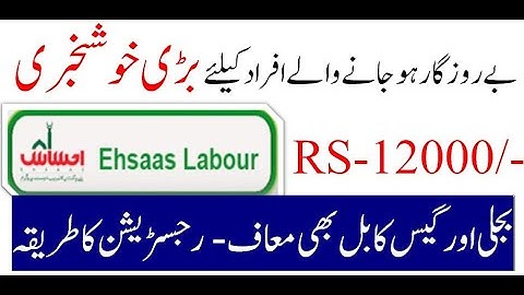 How to apply for Ehsaas Labour Program | Chota karobar Online Registration  | Pakistan Informative