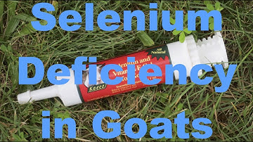 Selenium Deficiency in Goats