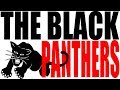 Who Were the Black Panthers? US History Review