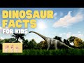 Dinosaurs and Paleontology Concepts