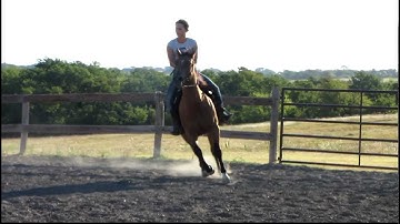 Valley View Ranch - Nip - barrels