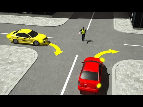Video: Ar pėstiesiems leidžiama važiuoti tarpvalstybiniuose greitkeliuose?