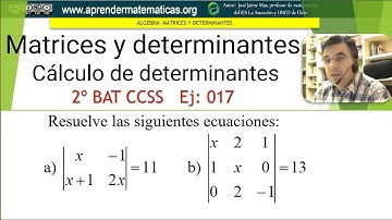 Cálculo de determinantes. Ecuación. 2bat ccss2 02 17. José Jaime Mas