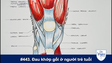 #443. Nguyên nhân và cách chữa trị đau khớp gối ở người trẻ
