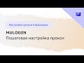 Настройка прокси в антидетект браузере MuLogin