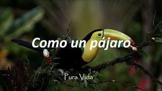 Versión 3 del video