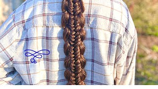 Crescent Edged Fishtail Braid