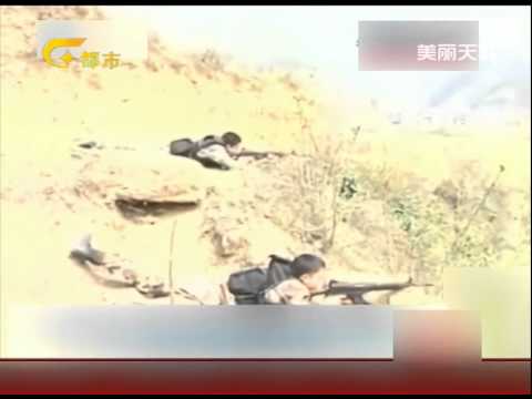 疯牛连伤4人武警帮忙除害