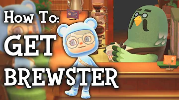 How To Unlock Brewster | 2.0 Update Animal Crossing New Horizons