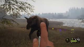 : Hunters Call of the Wild- Man vs Moose