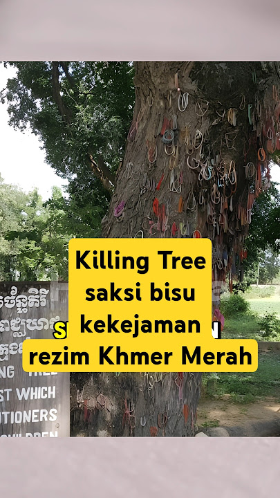Killing Tree, a silent witness to the cruelty of the Khmer Rouge Regime. #history #khmer #cambodia