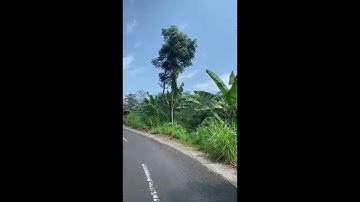 TUGAS INFORMATIKA KELAS 9F MEMBUAT VIDEO VLOG "RANU PANI"