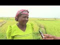 Dziko la Mkaka ndi Uchi - 24 November 2022