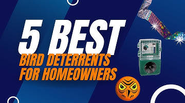 5 Best Bird Deterrents for Homeowners #birdcontrol
